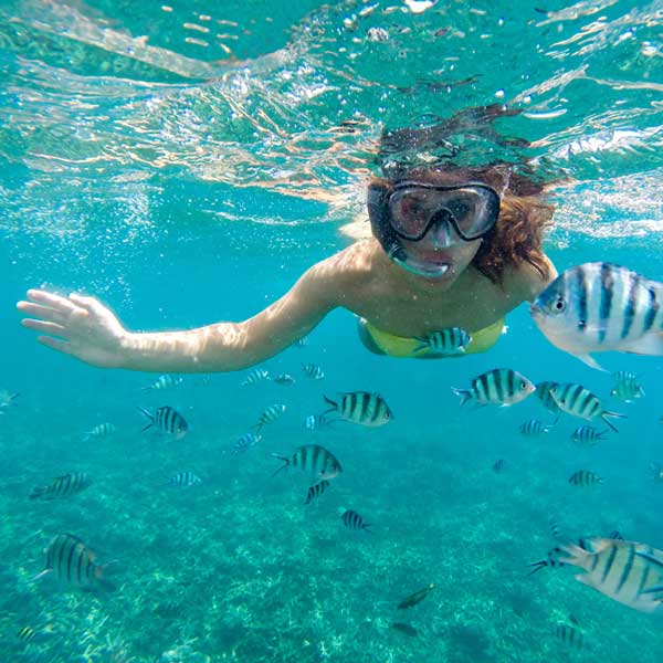 woman snorkeling while surrounded by fish